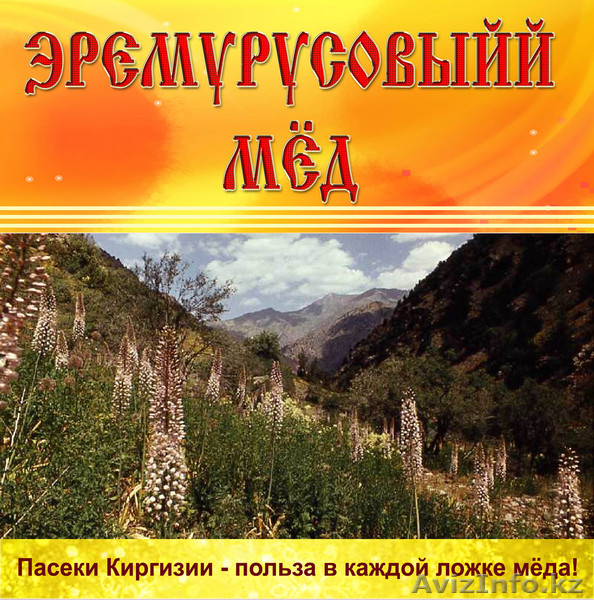 оптом мёд! поставки из Кыргызстана в Казахстан! - Изображение #8, Объявление #875425