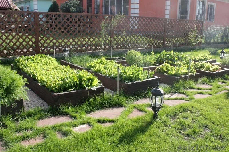 ТОО Кок терек Байтерек - Изображение #4, Объявление #879754