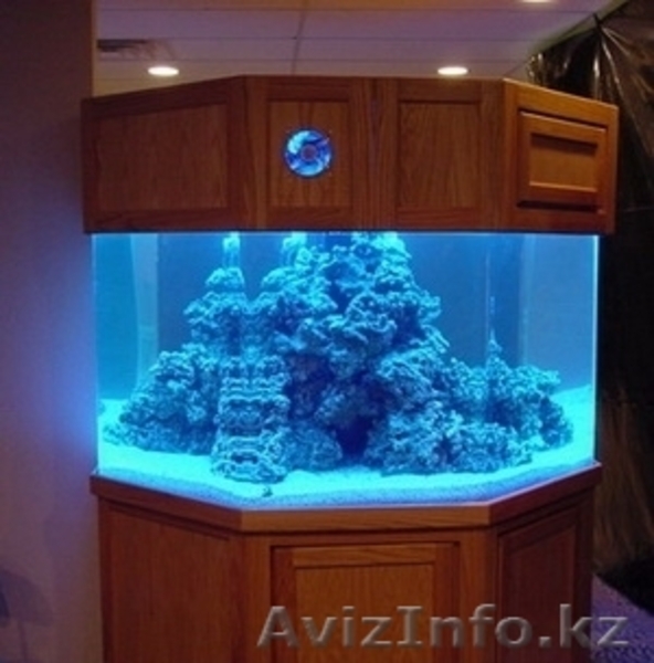 зоомагазин "нептун" - Изображение #5, Объявление #891329