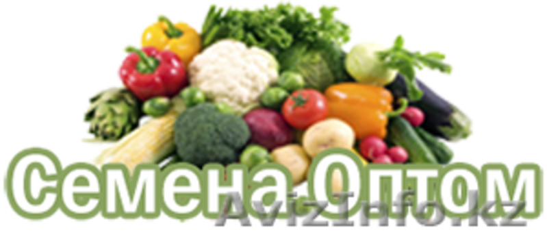 Семена овощей оптом, удобрения Флоровит  - Изображение #2, Объявление #874789
