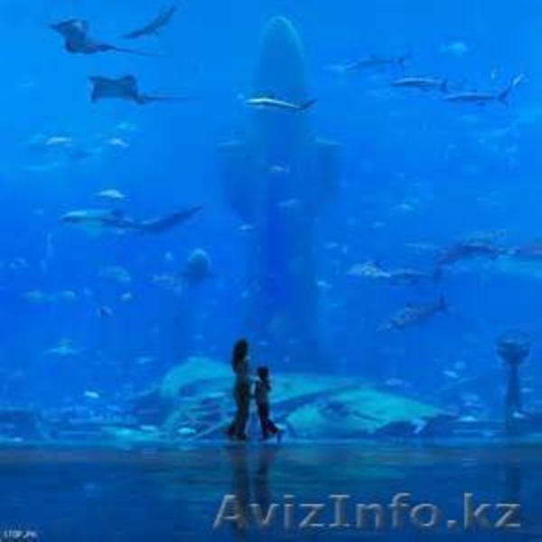 Незабываемый отдых в ОАЕ - Изображение #9, Объявление #882498