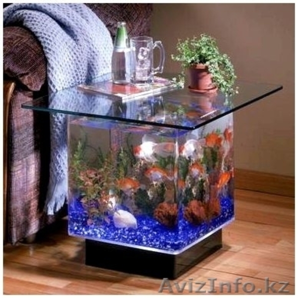 зоомагазин "нептун" - Изображение #9, Объявление #891329