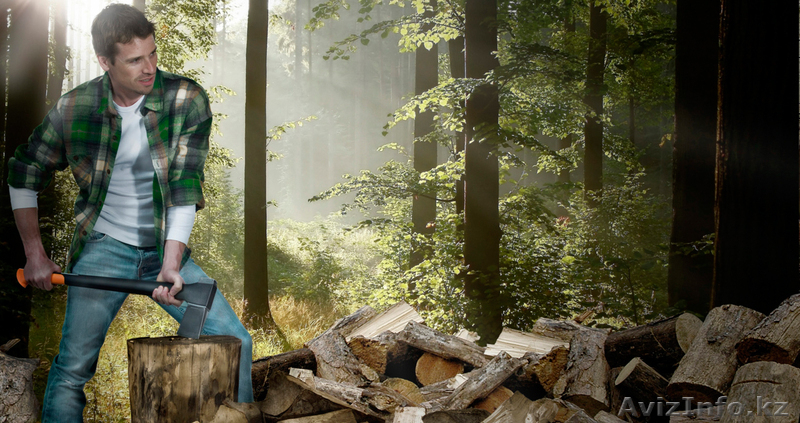 Инструменты Fiskars из Финляндии. - Изображение #6, Объявление #824556