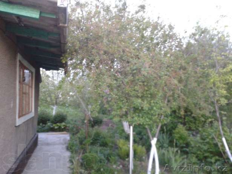 продам Дмитриевскую дачу - Изображение #3, Объявление #895414