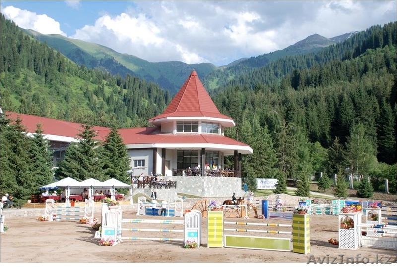 Уроки верховой езды Индивидуальные уроки верховой езды для начинающих и опытных  - Изображение #1, Объявление #895312