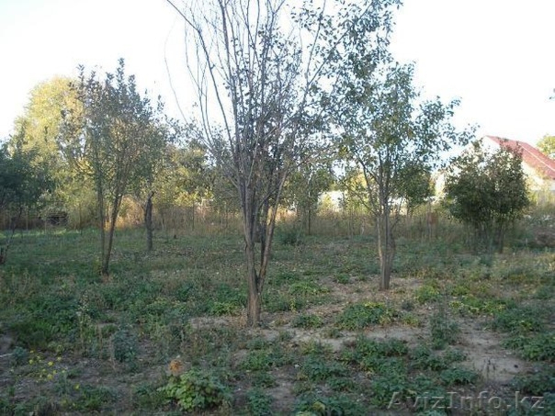 Продается дом 2 уровня - Изображение #9, Объявление #897432