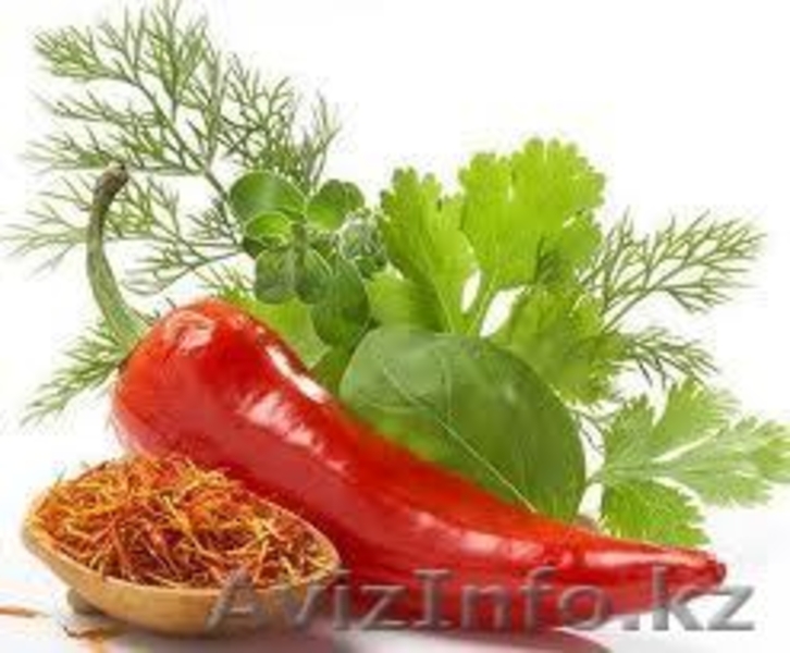Производитель  специй, приправ, пряности  ищет представителей  в РК - Изображение #2, Объявление #916987