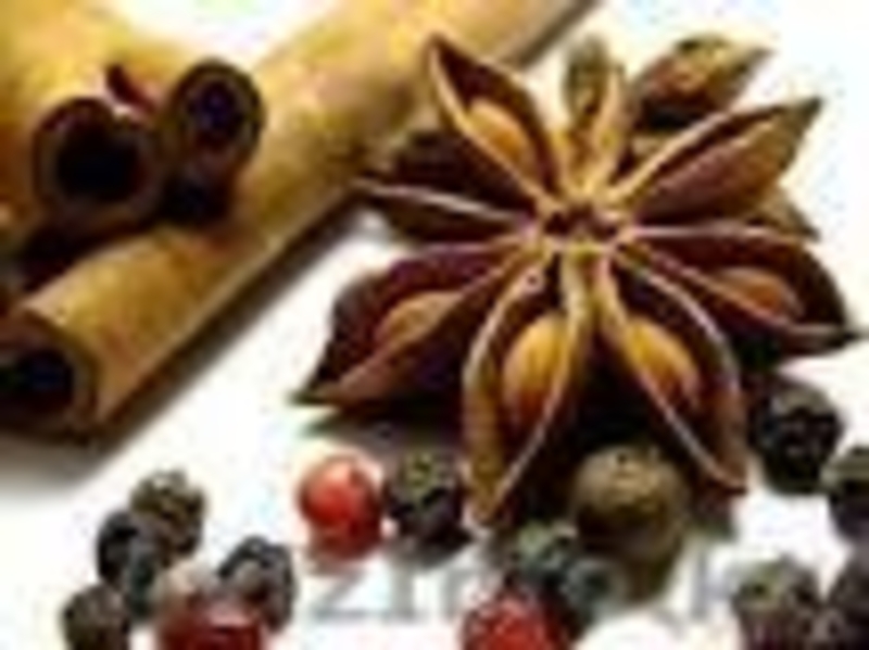 Производитель  специй, приправ, пряности  ищет представителей  в РК - Изображение #3, Объявление #916987