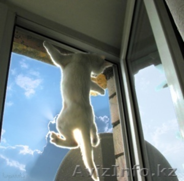 Рольставни механика,автомат - Изображение #3, Объявление #700586