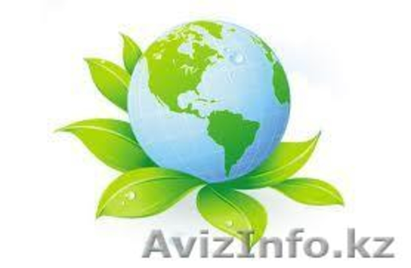 Крем StemCellTherapy - Изображение #2, Объявление #950125