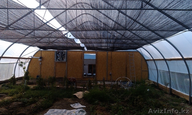 Теплицы (фермерские) Израиль - Изображение #2, Объявление #950826