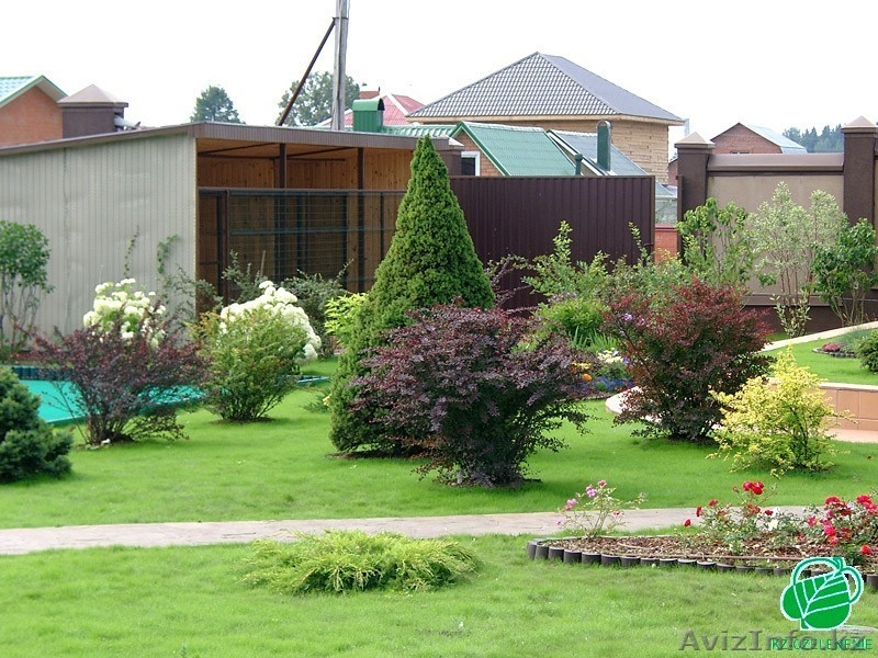 озеленение, ландшафтный дизайн, цветники, альпийские горки - Изображение #4, Объявление #955509