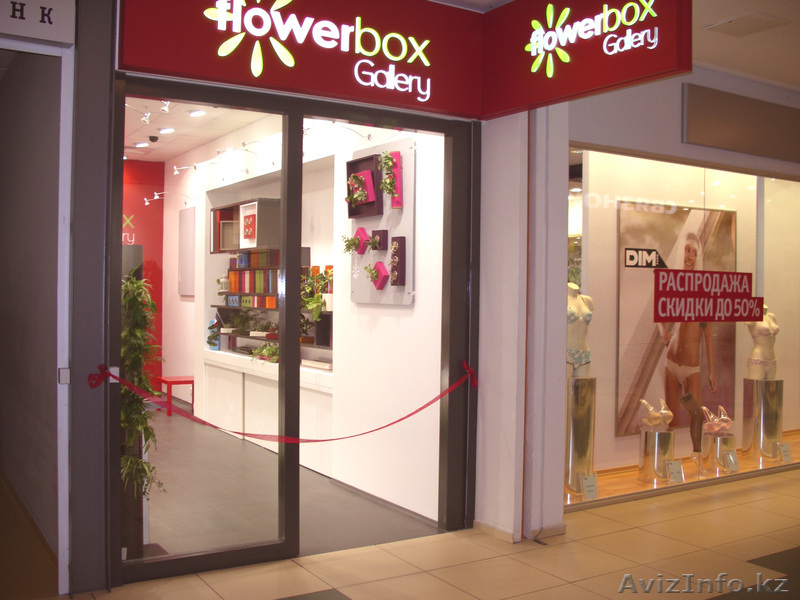 Продам франшизу FlowerBox - Изображение #3, Объявление #953745