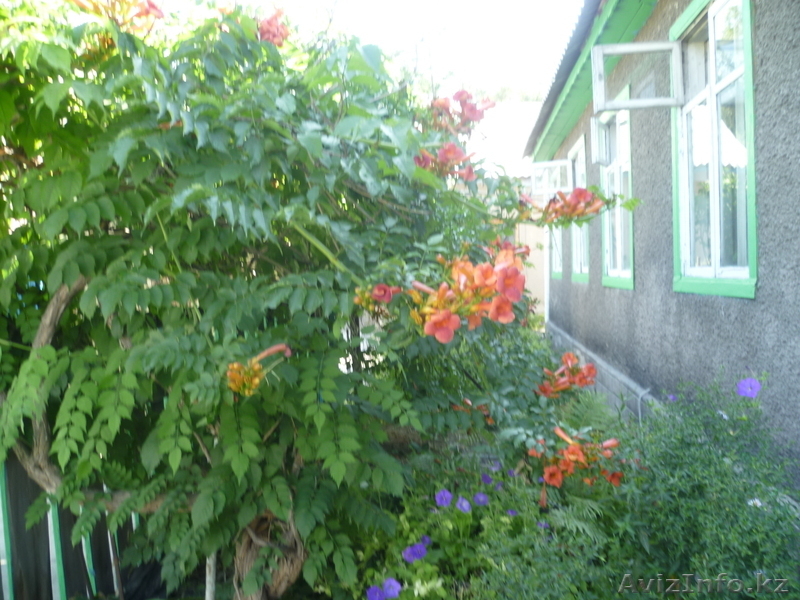 продам дом,на границе с городом п.Покровка - Изображение #1, Объявление #962029