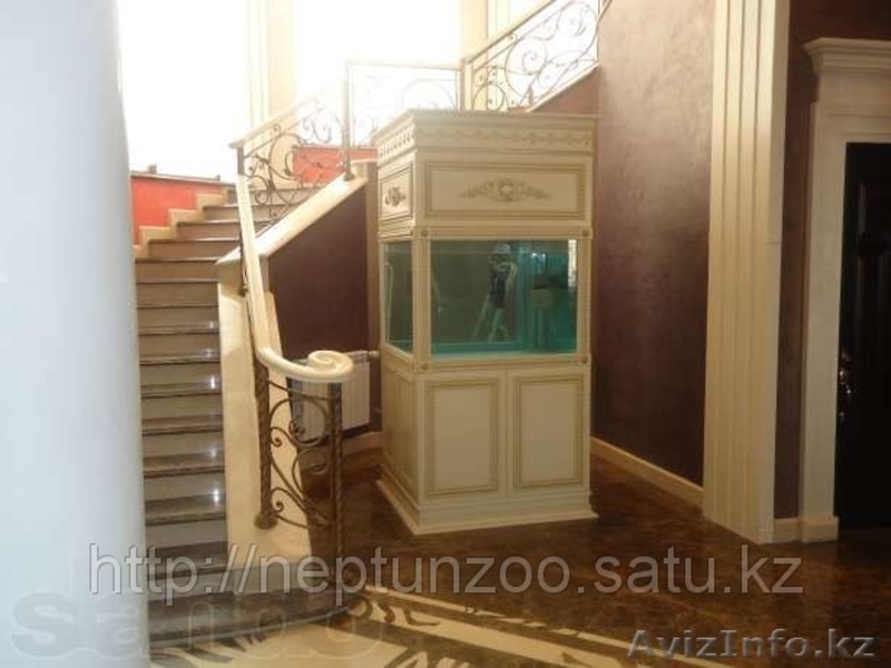 аквариумные рыбки в Алматы(КАЖДАЯ 10 РЫБКА БЕСПЛАТНО!) - Изображение #3, Объявление #759602