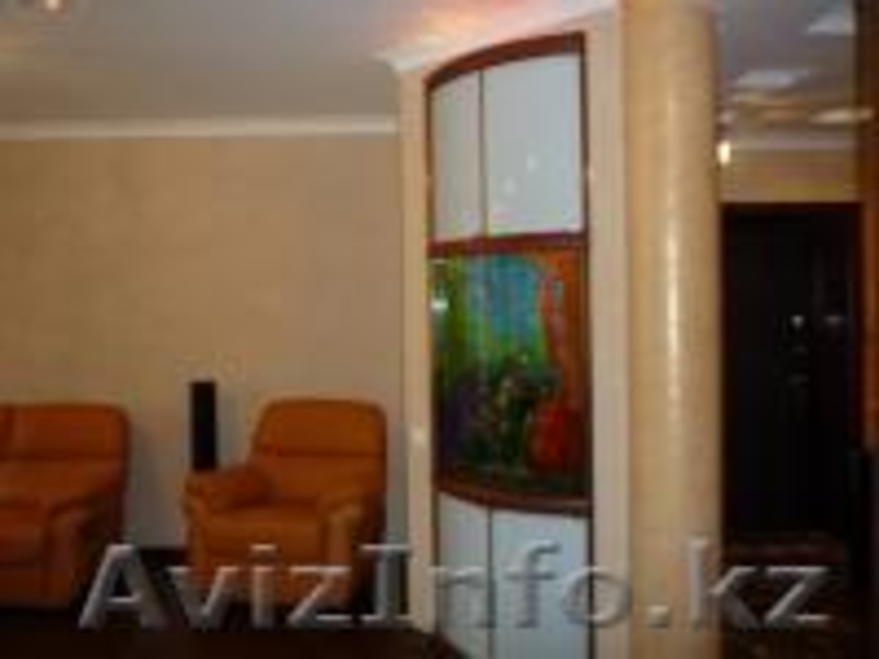 аквариумные рыбки в Алматы(КАЖДАЯ 10 РЫБКА БЕСПЛАТНО!) - Изображение #5, Объявление #759602