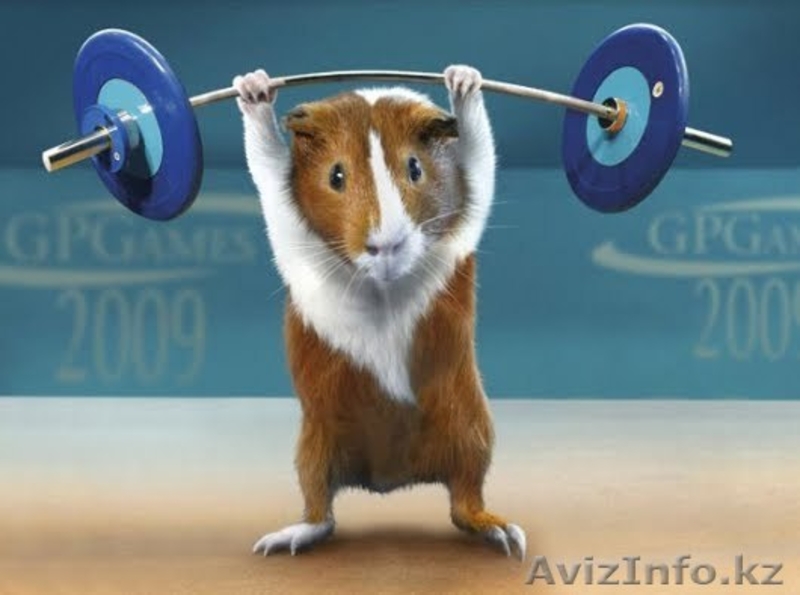 CrossTraining (Функциональный тренинг) - Изображение #4, Объявление #963181