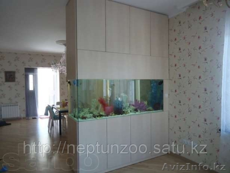 аквариумные рыбки в Алматы(КАЖДАЯ 10 РЫБКА БЕСПЛАТНО!) - Изображение #6, Объявление #759602