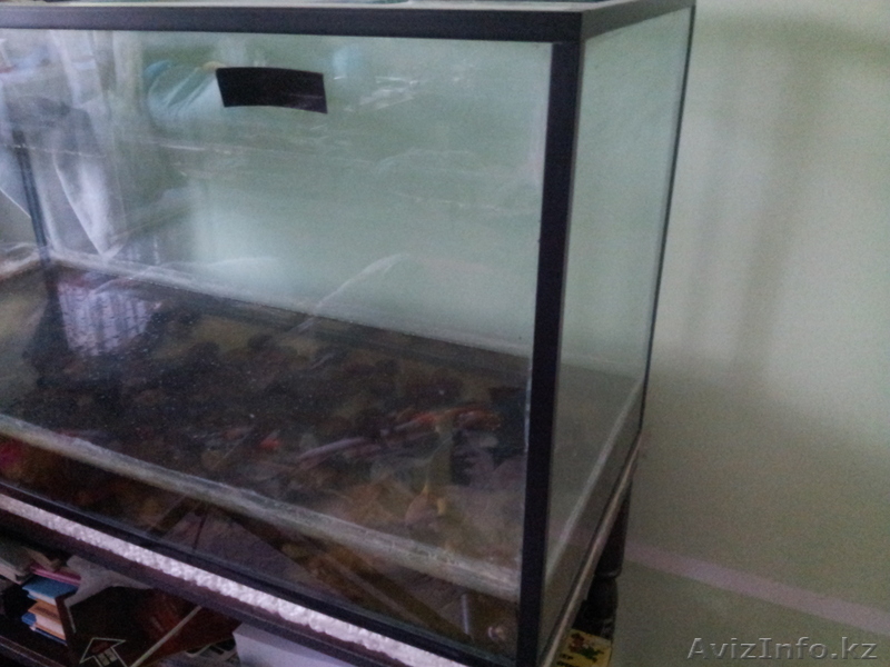 Продам аквариум 360 литров - Изображение #3, Объявление #903291