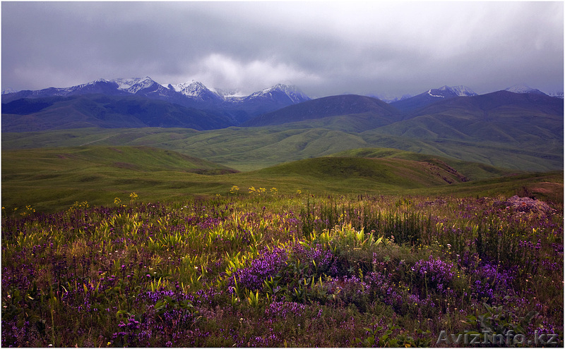 Уникальные авторские картины с пейзажами нашей Родины. - Изображение #10, Объявление #982094