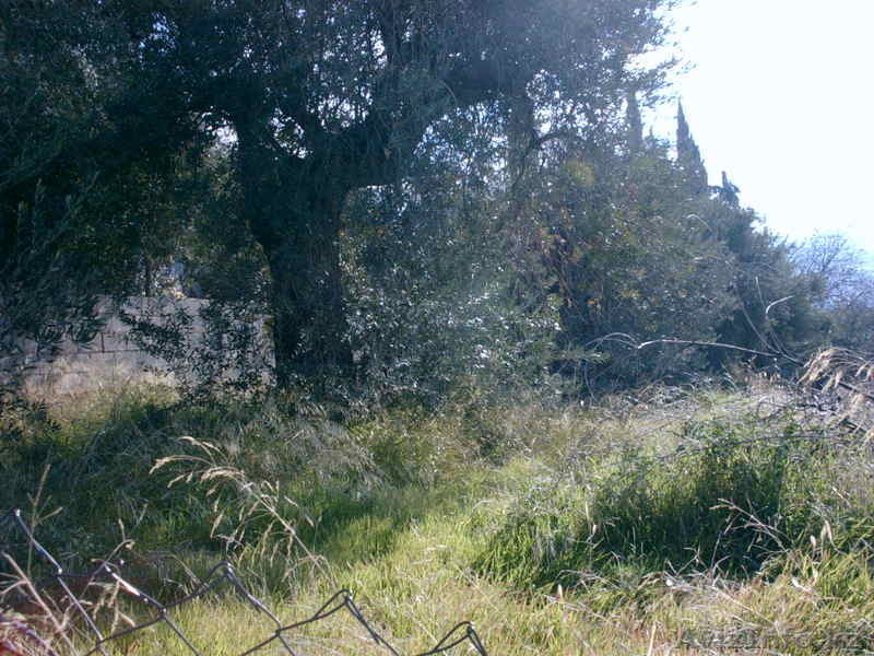 ПРОДАЕТСЯ ЗЕМЕЛЬНЫЙ / УРБАНИЗАЦИОННЫЙ УЧАСТОК В ИСПАНИИ,HUETOR VEGA, GRANADA - Изображение #5, Объявление #980961