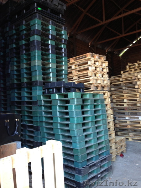 Продажа пластиковых поддонов 120*100 и 120*80 - Изображение #3, Объявление #381994