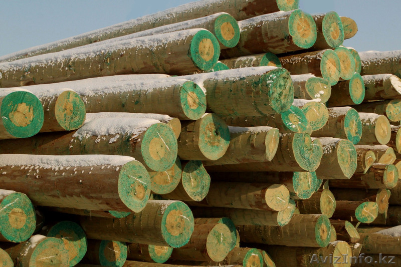 Опора ЛЭП деревянная пропитанная - Изображение #4, Объявление #62557