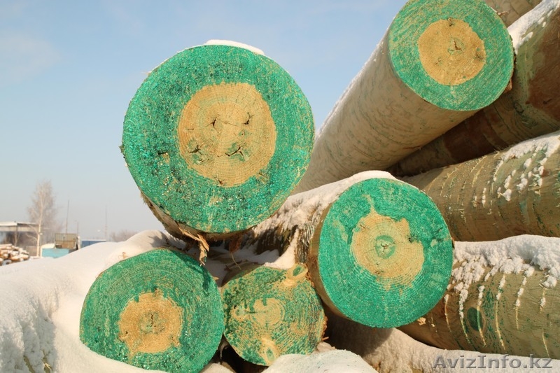 Опора ЛЭП деревянная пропитанная - Изображение #3, Объявление #62557