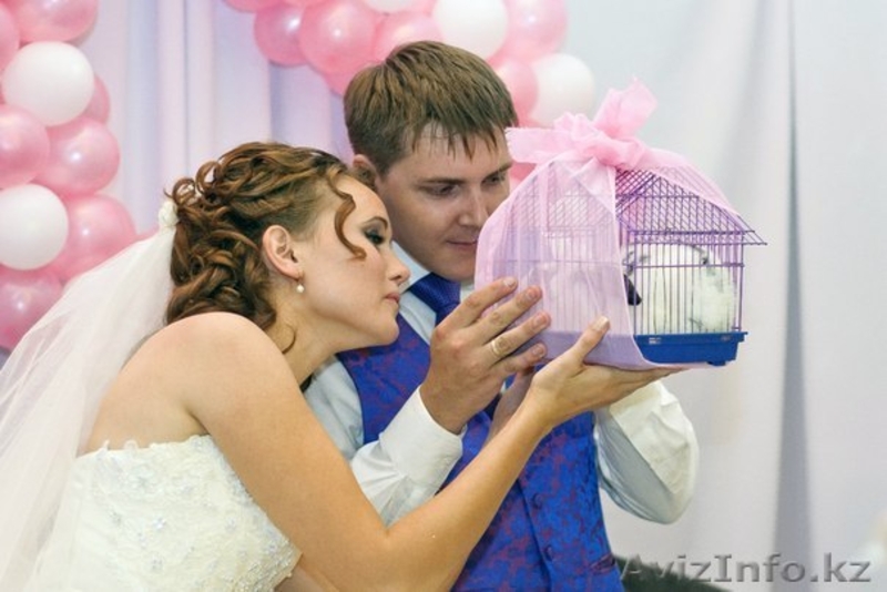 Ведуща - Тамада Людмила в Алматы - Изображение #6, Объявление #975340