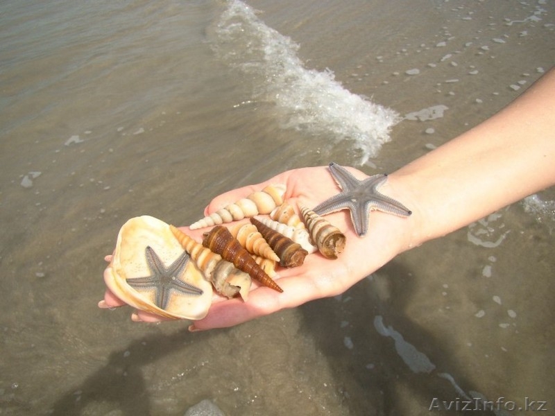 Туры по всему миру и не только!!! - Изображение #3, Объявление #973203