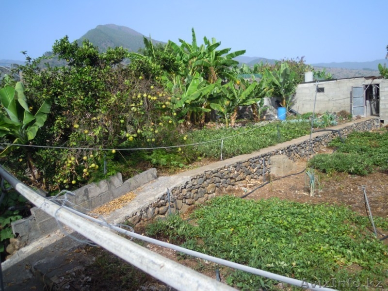 ШАЛЕ В ИСПАНИИ , TENERIFE , LOS LLANOS DE ARIDANE , CANARIAS - Изображение #2, Объявление #968806