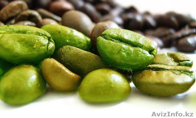 Зеленый кофе по Алматы - Изображение #3, Объявление #979431