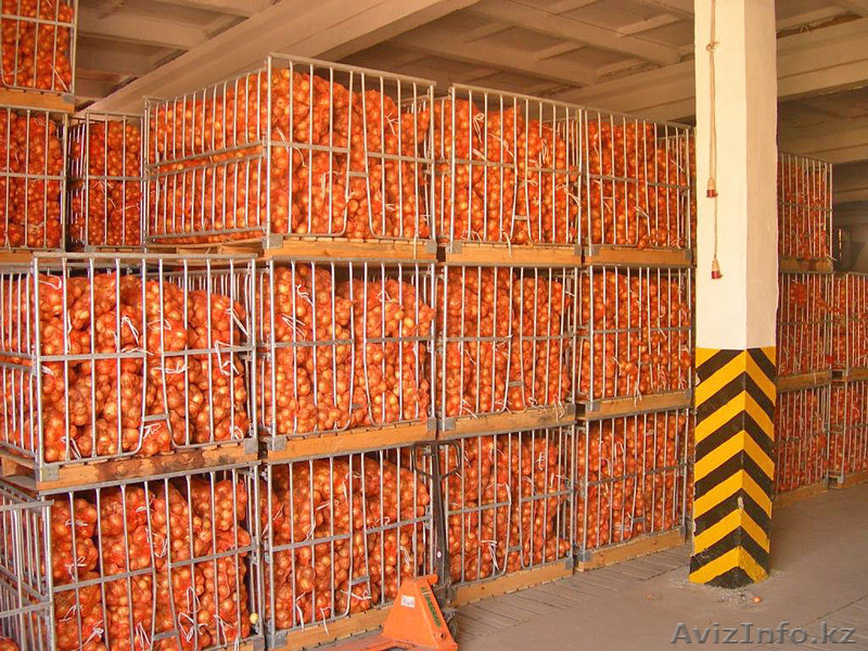 Овощи и фрукты высшего качества оптом и в розницу - Изображение #4, Объявление #991066