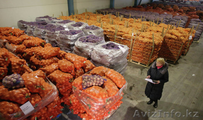 Овощи и фрукты высшего качества оптом и в розницу - Изображение #3, Объявление #991066