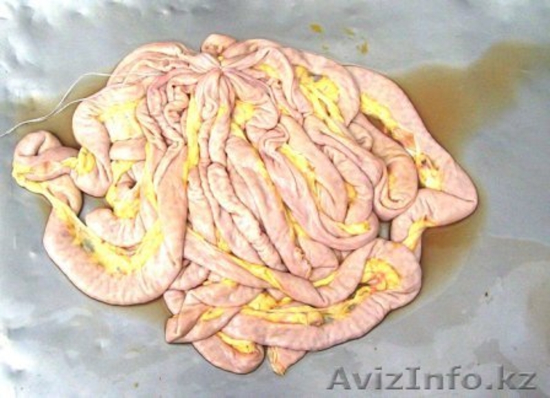 Продукты Животного происхождения - Изображение #1, Объявление #988059