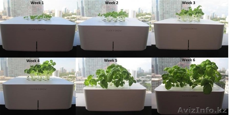 Click and grow - электронный смартпот - Изображение #7, Объявление #989673