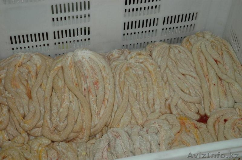 Продукты Животного происхождения - Изображение #2, Объявление #988059