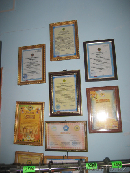 Продам горный мёд (разнотравье) - Изображение #1, Объявление #998885