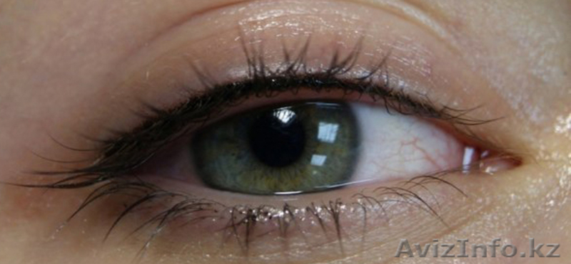 Татуаж от Художнка Бразильской краской С ВЫЕЗДОМ НА ДОМ - Изображение #6, Объявление #988656