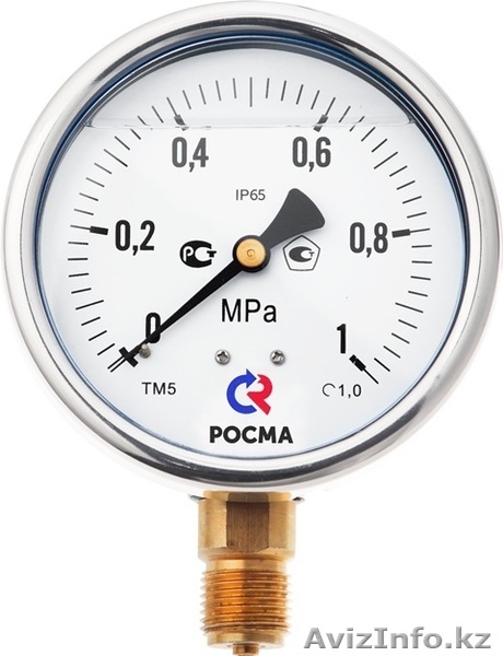 Манометр промышленный виброустойчивый - Изображение #1, Объявление #988115