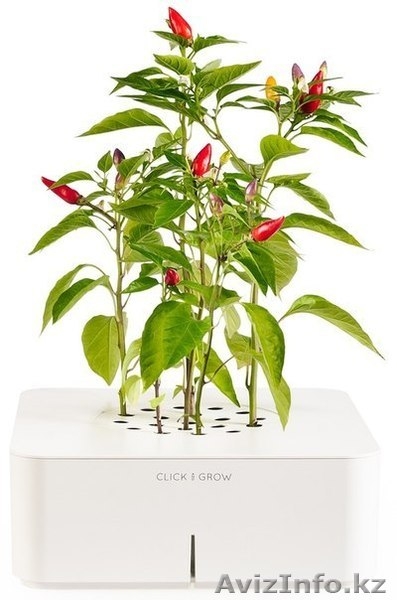 Click and grow - электронный смартпот - Изображение #4, Объявление #989673