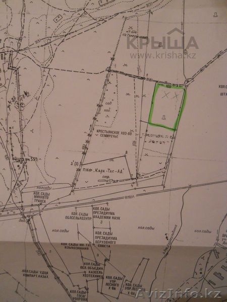 Участок 50 соток в ПК Райымбек - 100 000$ - Изображение #5, Объявление #1007991