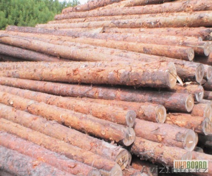 шпунт, брус, доска, фанера,  мвсп, рельсы, шпунт,  шпалы - Изображение #8, Объявление #1004238