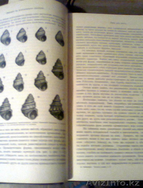 книги старинные1897г. - Изображение #9, Объявление #1009316