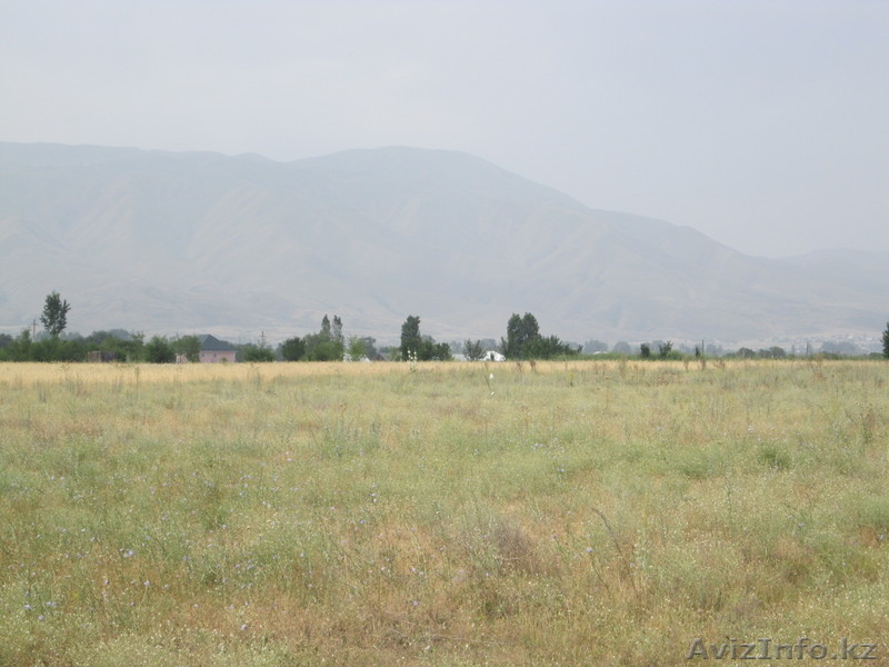 Продам участок под к/х 0,9 га 45 тыс долларов США  - Изображение #4, Объявление #1014066