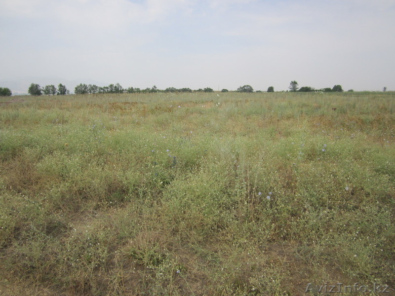 Продам участок под к/х 0,9 га 45 тыс долларов США  - Изображение #3, Объявление #1014066