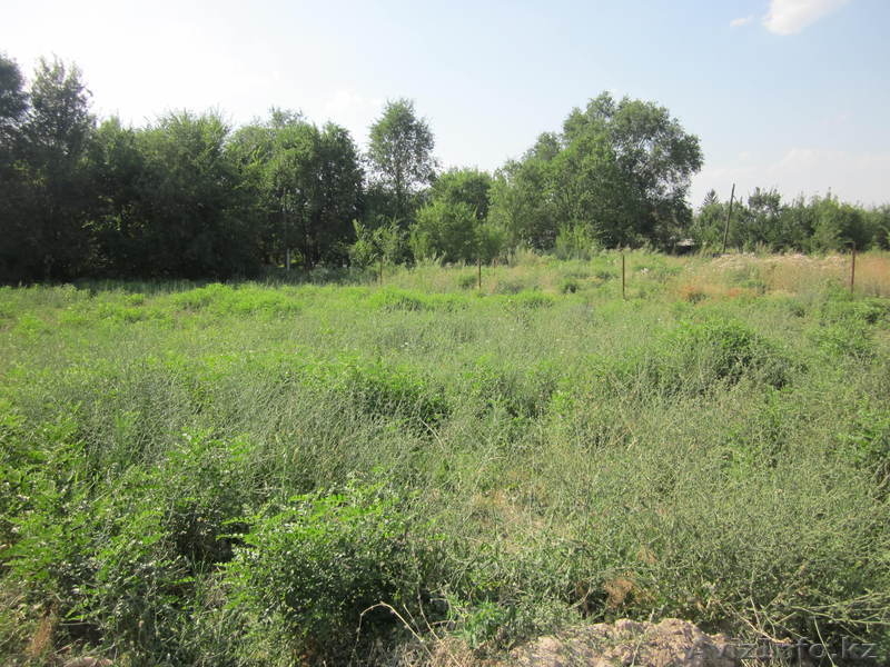 Участок площадью 10 соток за 105 000 $  Верхняя Каменка - Изображение #1, Объявление #1008291