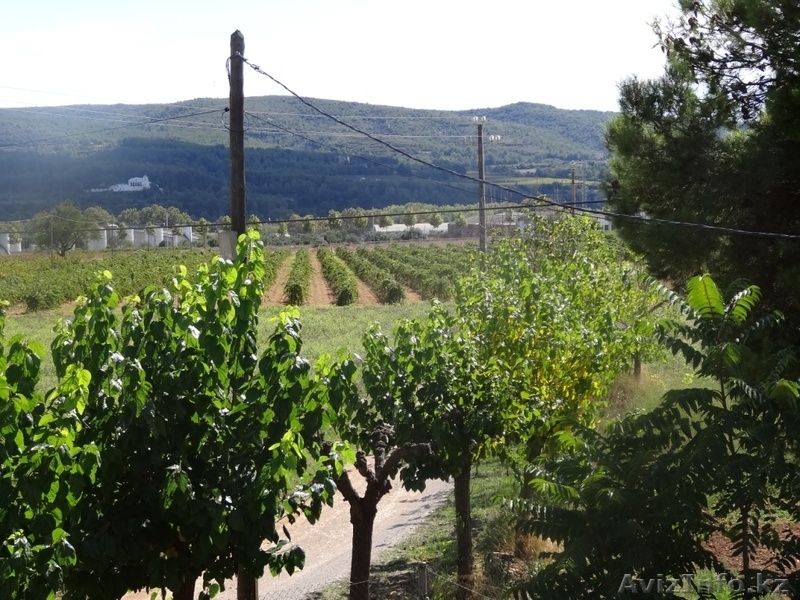 поместье в Испании, Santa Margarita y Monjós, Barcelona, Cataluna. - Изображение #6, Объявление #1013734