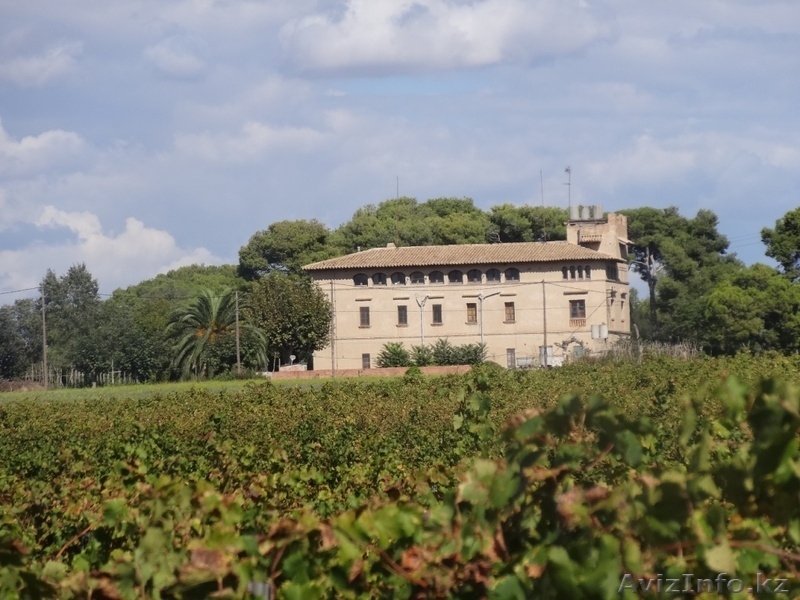 поместье в Испании, Santa Margarita y Monjós, Barcelona, Cataluna. - Изображение #4, Объявление #1013734