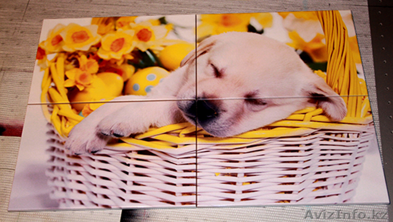 Широкоформатная УФ Печать, Тампопечать  - Изображение #6, Объявление #1002800